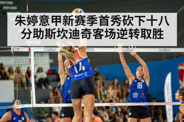 volleyball match action