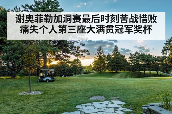 谢奥菲勒加洞赛最后时刻苦战惜败痛失个人第三座大满贯冠军奖杯